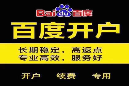 某sem公司成功案例揭秘